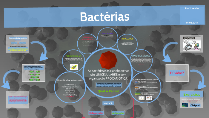 Características gerais das bactérias by Leandro Bezerra on Prezi