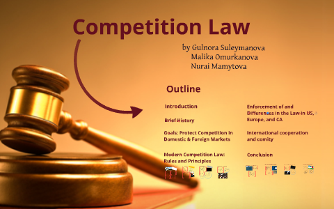 essay on competition law