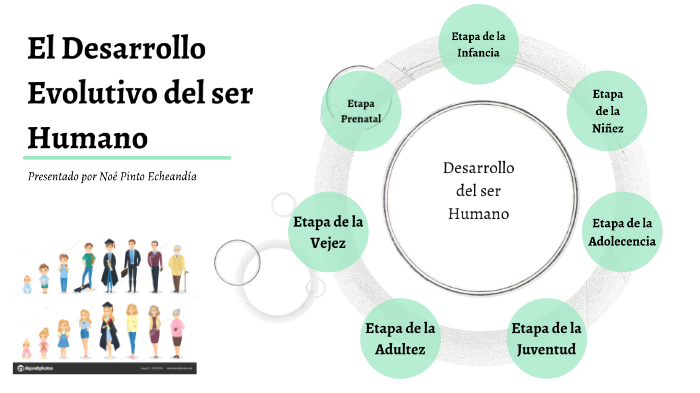 desarrollo evolutivo del ser humano by Noé Pinto Echeandia on Prezi