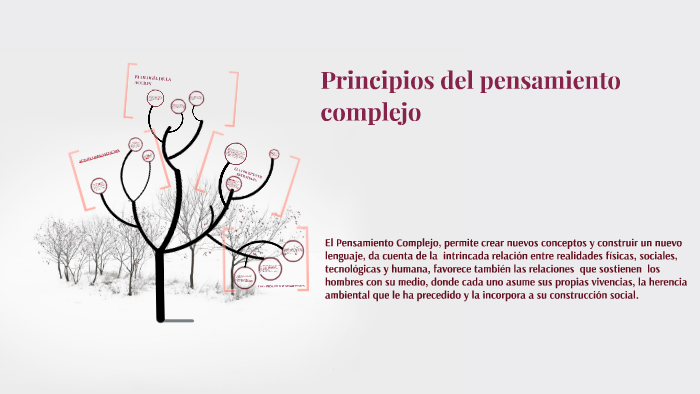 Principios del pensamiento complejo by maria montes