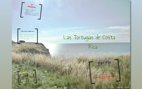 Las Tortugas de Costa Rica by Ayla Sanchez on Prezi