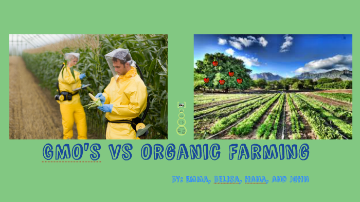 Gmo's vs Organic Farming. by Emma Jackson on Prezi