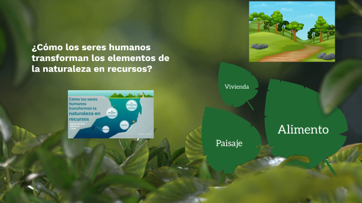 ¿Cómo los seres humanos transforman los elementos de la naturaleza en