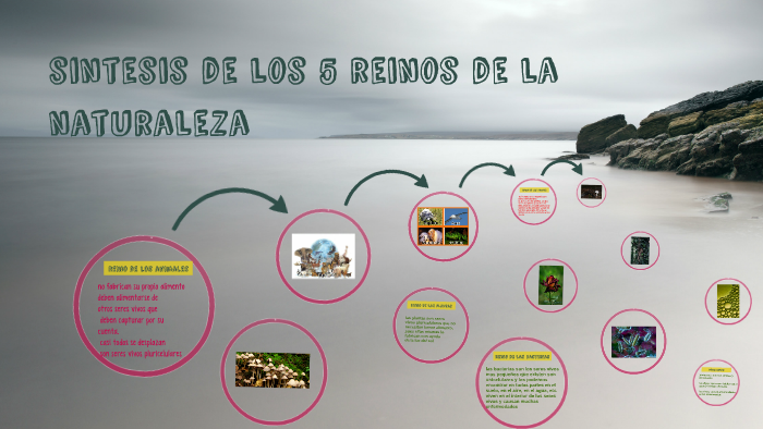 sintesis de los 5 reinos de la naturaleza by Andres Viera on Prezi