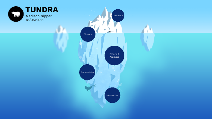 Tundra Presentation by MADISON NIPPER on Prezi