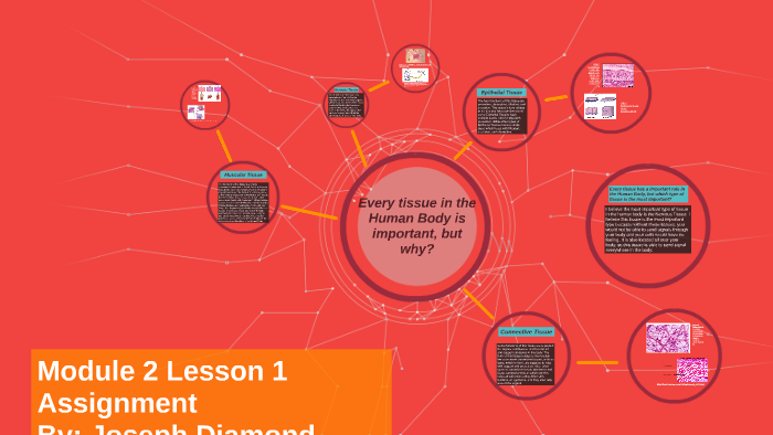 Module 2 Lesson 1 Assignment by Joseph Diamond on Prezi
