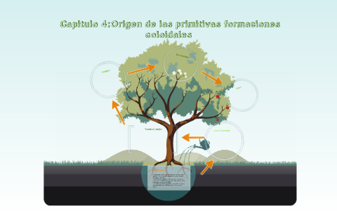 Capitulo 4:Origen de las primitivas formaciones coloidales by santiago ...