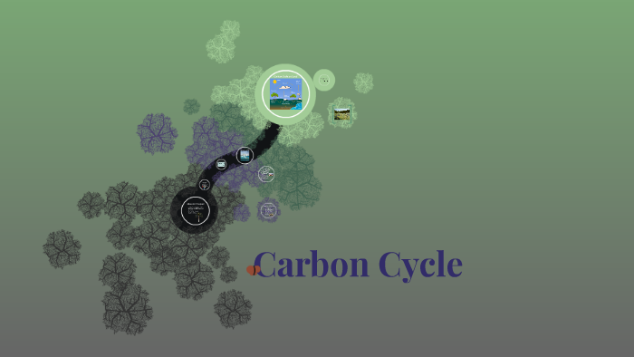 The Carbon Cycle by Aya Ali on Prezi