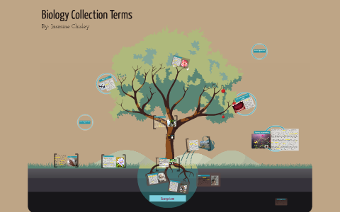 Biology Collection by Jasmine C on Prezi
