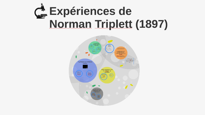 norman triplett experiment on social psychology