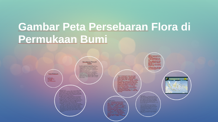 Mengapa Tumbuhan Flora Di Permukaan Bumi Ini Beragam