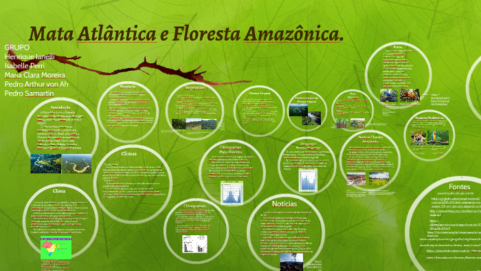 Mata Atlântica e Floresta Amazônica. by Pedro Arthur on Prezi