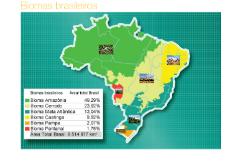 Biomas Brasileiros by Rafael Borges on Prezi