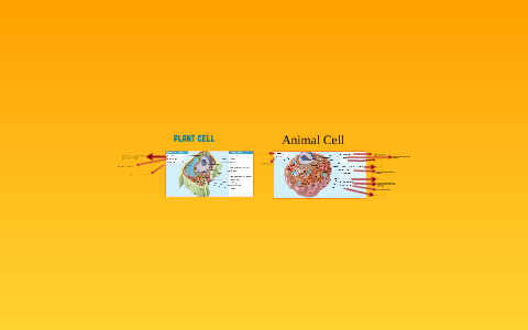 Plant and Animal cells by Jose cruz on Prezi