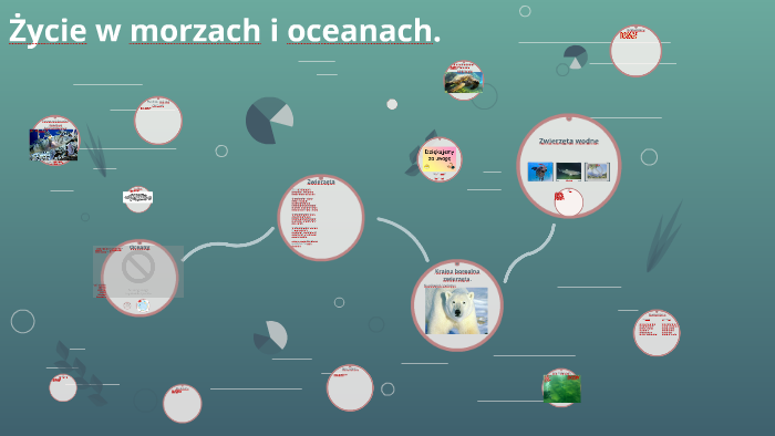 Życie w morzach i oceanach. by Kaja Pastuszyńska on Prezi