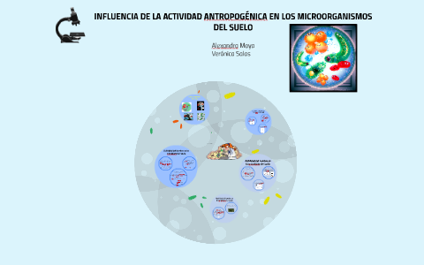 INFLUENCIA DE LA ACTIVIDAD ANTROPOGÉNICA EN LOS MICROORGANIS by ...