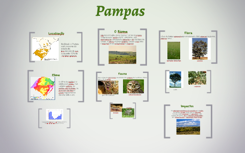 Pampas by Alicia linda on Prezi