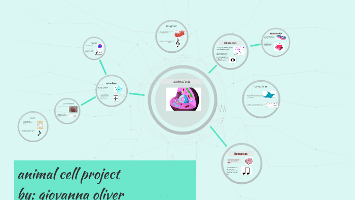 animal cell project by Giovanna Oliver on Prezi