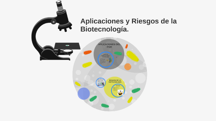 Aplicaciones y riesgos de la biotecnología by Karin Yamel Nazer Melgen