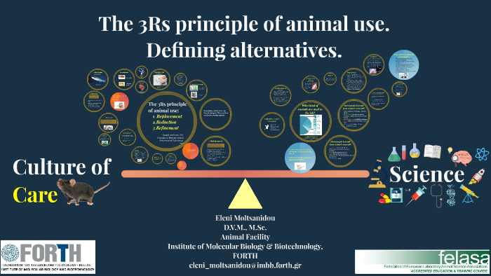 The 3Rs Principle Of Animal Use By Elena Mlt the-3rs-principle-of-animal-use-by-elena-mlt