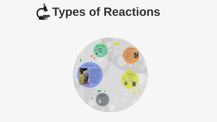 Types of Reactions by Grayanna Grigg on Prezi