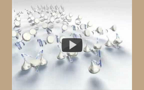 Hershey's Enterprise Resource Planning Journey by Michael Ravitch on Prezi