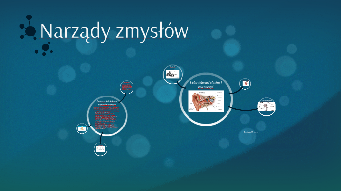 Narządy zmysłów by tak tak on Prezi