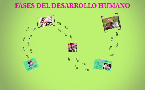 FASES DEL DESARROLLO HUMANO by YULIANA VALENCIA MONTES on Prezi