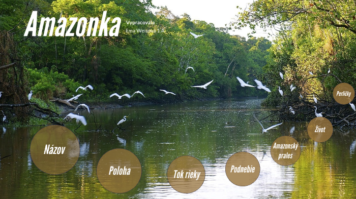 Amazon river by Ema Weisová on Prezi