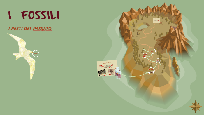 Quali sono due metodi di datazione fossili