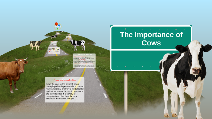 The Importance of Cows by Sofia Stechschulte on Prezi