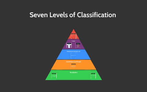 Seven Levels of Classification by Olivia McClendon