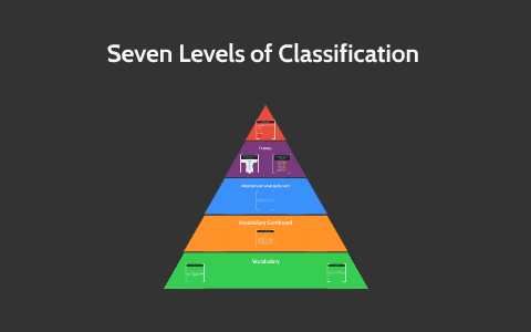 Seven Levels Of Classification By Olivia McClendon