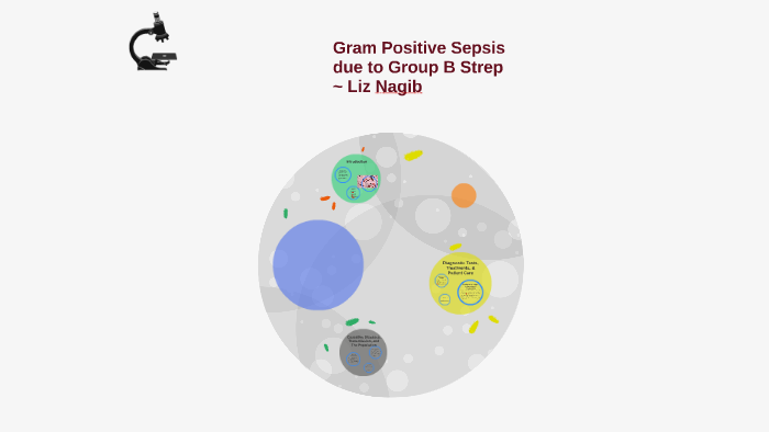 gram-positive-sepsis-due-to-group-b-strep-by-elizabeth-nagib