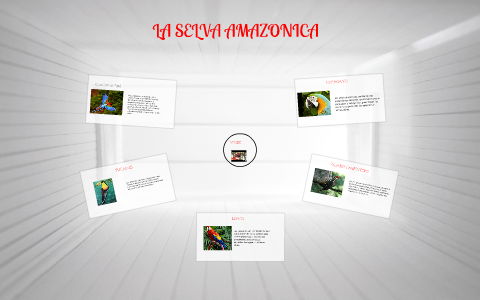 LA SELVA AMAZONICA by nicolas tarazona vega on Prezi