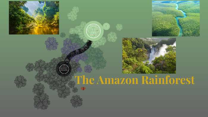 The Amazon Rainforest by henry collins on Prezi