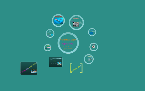 Bottlenose Dolphin by Sophia Bruce on Prezi