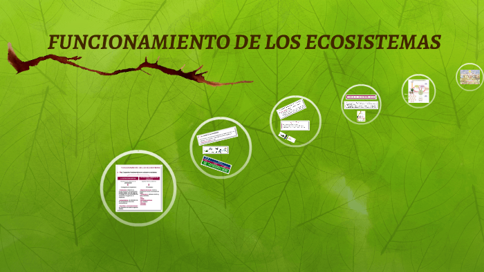 FUNCIONAMIENTO DE LOS ECOSISTEMAS by Abdul Zea on Prezi