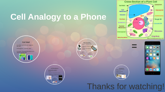 Cell Analogy to a Phone by Karina Pompa