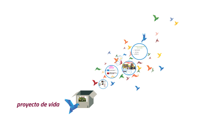 proyecto de vida by Evelyn Torres on Prezi