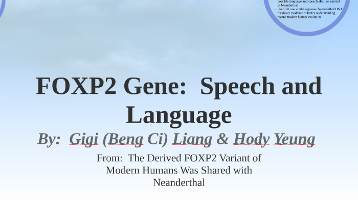 speech and language impairment gene