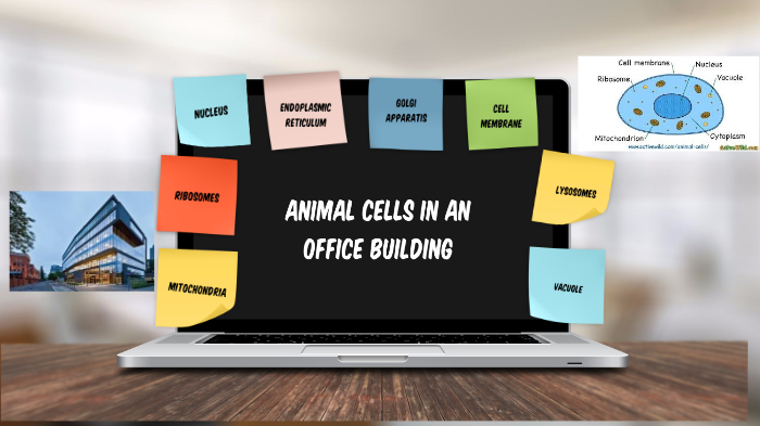Animal Cells by Pearl Mueller on Prezi