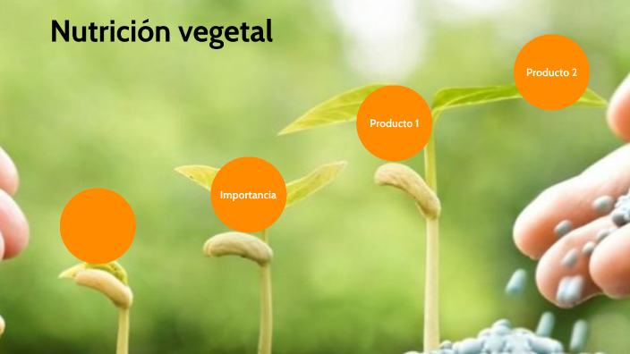 Nutrición Vegetal By Maria Alejandra Florez Covaleda On Prezi Next