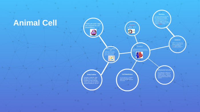 Animal Cell by hannah smith on Prezi