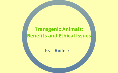 Kyle Ruffner Bioethical issues of Transgenics by Kyle Ruffner on Prezi