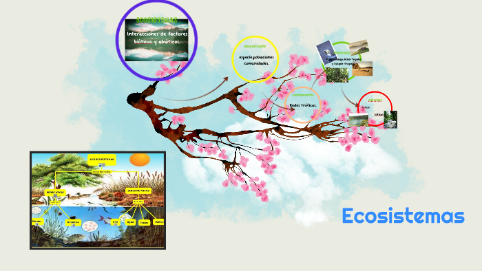 Ecosistemas by JULIANA MARTINEZ on Prezi