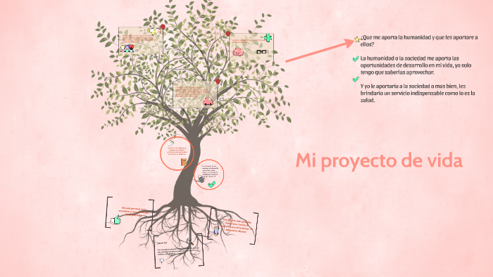 Mi proyecto de vida by juliana fontecha on Prezi