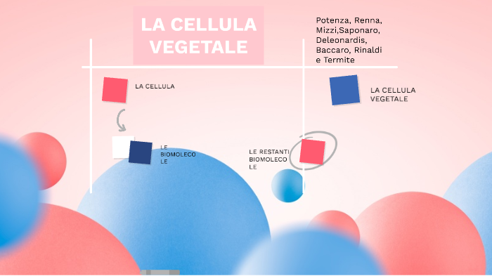 LA CELLULA VEGETALE by SIMONA POTENZA on Prezi