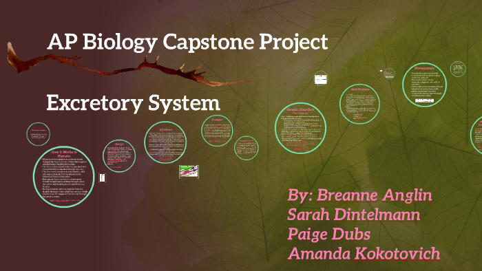 capstone project in biology
