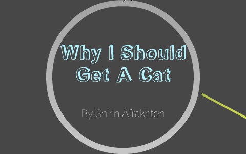 presentation on why i should get a cat